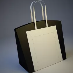 PURSE 3D model