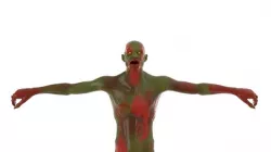 Realistic Zombie Character Low-poly 3D model