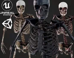 Skeleton Humanoid - Game Ready Low-poly 3D model
