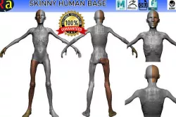 Skinny Human ZBrush Base  3D model