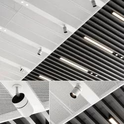 Suspended ceiling SAS International 3D model