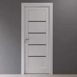 White interior door with black glass inserts 3D model