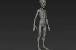 Alien Humanoid 3D model