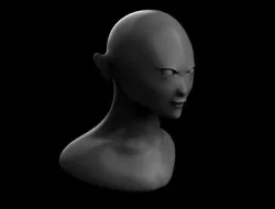 Basic female head model 3D model