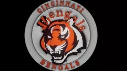 Bengals 3D model