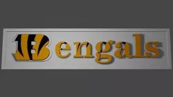 Bengals 3D model