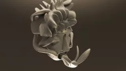 character  3D model