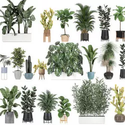 Collection of plants of 20 pieces SET  3D model