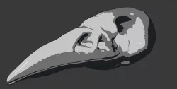 CROW SKULL 3D model