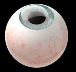 Eyeball 3D model