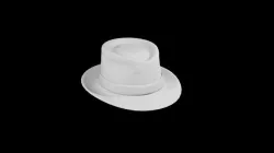 Fedora 3D model