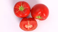 Hyperrealistic Tomato  3D model
