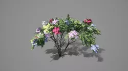 Japanese Angelica Colors Tree Low-poly 3D model
