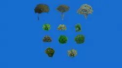 Low poly tree  Texture