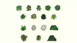 Low poly tree  Texture