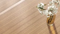 Orange smooth teak veneer texture Texture