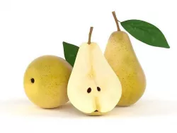 Pears pear with leaf 3D model
