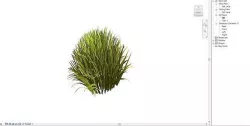 plant 3D model