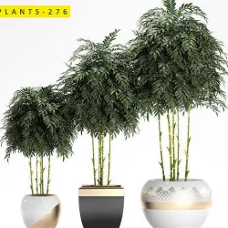 plants 276 bamboo plants 3D model
