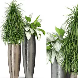 Plants collection 282 Fleurami ROYAL  3D model