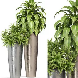 Plants collection 283 Fleurami ROYAL  3D model