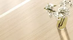 Read oak veneer texture Texture