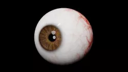 Rigged Eyes 3D model
