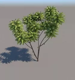 site tree 3D model