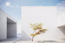 Small Autumn tree vpt028 3D model
