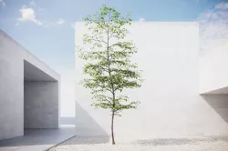 Small spring tree vpt024 3D model