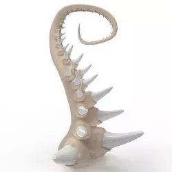 Tentacle with spikes 3D model