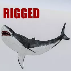 3D Rigged Shark Model Low-poly 3D model