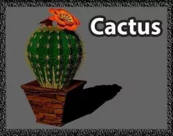 Cactus 3D model