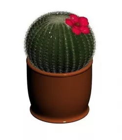 Cactus pot with blooming flower 3D model
