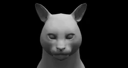 cat 3d model 3D model
