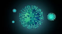 Corona Virus Animated 3D Models C4D 3D model