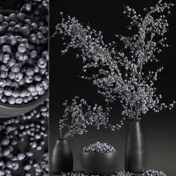 Decorative bouquet blueberry tree in Pots for the interior 547 3D model
