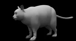 fat cat 3d model 3D model