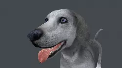 FDUS-012 Standing in place 3D model