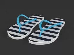 Flip Flops 3D model