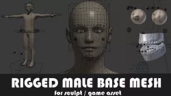 Fully Rigged Male Base Mesh with Face Rig for Blender Low-poly 3D model