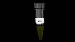 Jurassic Park Dinosaur Embryo Vial 3D model