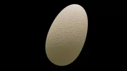 Jurassic Park inspired Raptor Egg 3D model