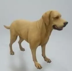 Labrador retriever 3D model