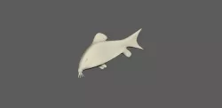 Low-Poly Simple Abino Cory Catfish Low-poly 3D model