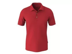 Male polo shirt- short sleeves 3D model
