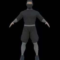 Ninja 3D model