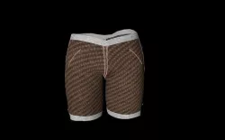 paint short 3D model