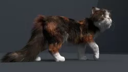 Persian Cat Fur and Animated 3D model