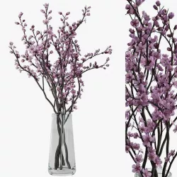Plum blossom 3D model